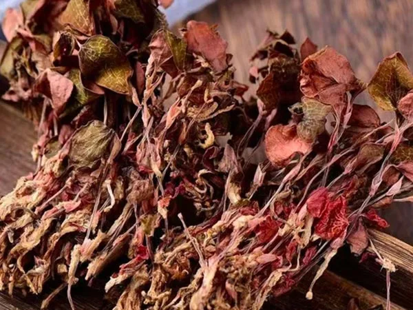 Super Grade Anoectochilus Roxburghii lehorrak merkatu berezietara iristen dira