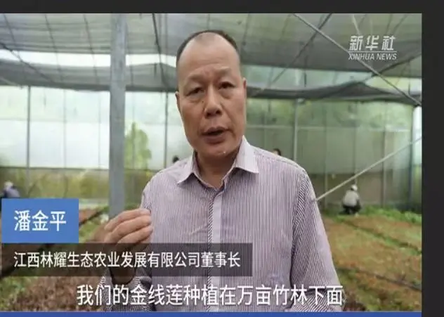 Pan Jinping, Jiangxi Linyao Ecological Agriculture Development Co., Ltd.-ko presidentea, Xinhua News Agency-k elkarrizketatu du