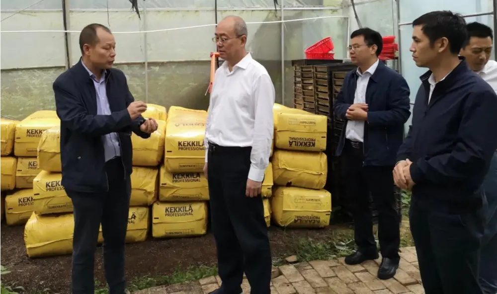 Xie Guanghua, Alderdiko idazkari eta Jiangxiko Medikuntza Tradizionalaren Jiangxi Probintzia Administrazioko zuzendariak, ikerketak egiten ditu Anoectochilus landaketa-basean