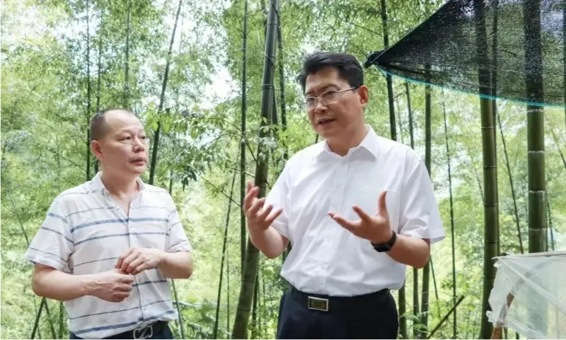 Liu Shuo Pingxiang Udal Alderdi Batzordeko idazkariak Anoectochilus landaketa-basea ikuskatzen du