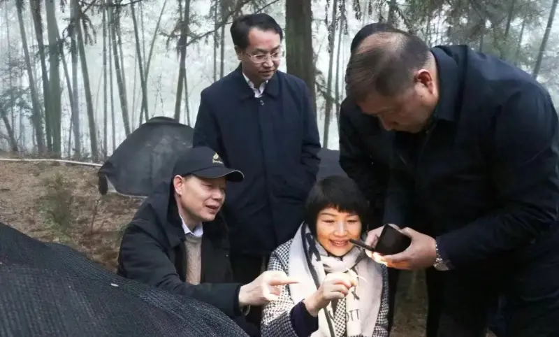 Lu Xiaoqing, Jiangzhong Pharmaceutical-eko presidente ohia eta Jiangxi Probintziako Alderdi Batzordeko Batzorde Iraunkorreko kidea eta Publizitate Saileko zuzendaria, Gure Landaketa Oinarria ikuskatzen du