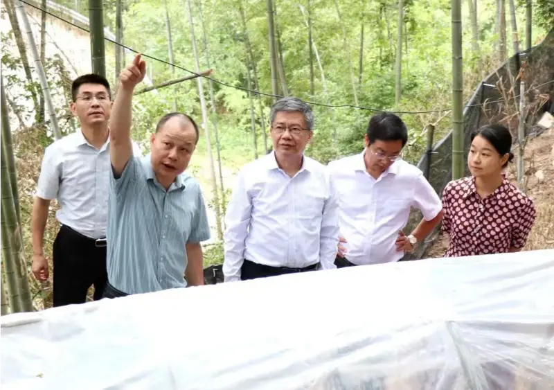 Liu Hongning, Jiangxi Txinako Medikuntza Tradizionaleko Unibertsitateko Ikerketa Aurreratuko Institutuko dekanoa eta Unibertsitateko Alderdiko idazkari ohia, Jiangxiko txinatar medikuntza tradizionalaren erreforma integralerako probintziako aditu taldea zuzentzen du gure Anoectochilus oinarrian ikerketak egiteko.